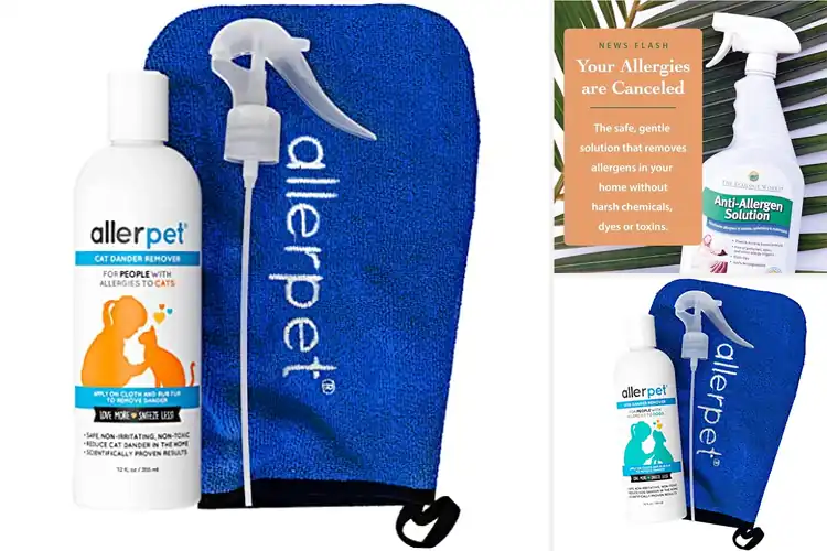 Detailed view of Best Dander Removal: Top 10 Solutions for a Sneeze-Free Home