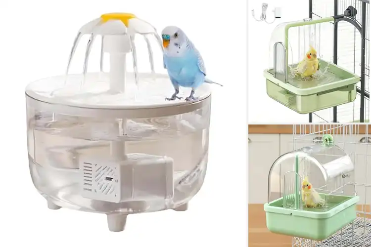 Detailed view of Best Detachable Filtration System For Bird Bath