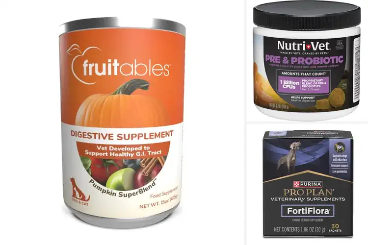 Detailed view of Best Dog Digestive Aids