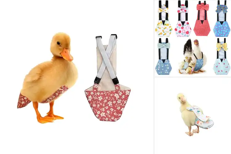 Detailed view of Best Duck Diapers
