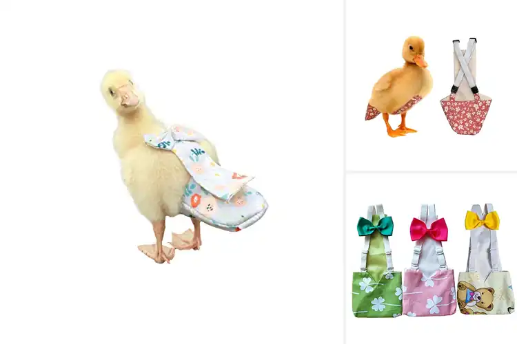 Detailed view of Best Duckling Diapers