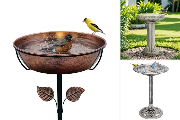 Detailed view of Best Durable Outdoor Bird Baths
