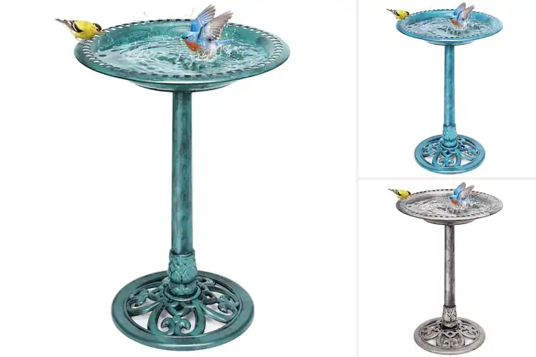 Detailed view of Best Durable Weather-Resistant Bird Bath