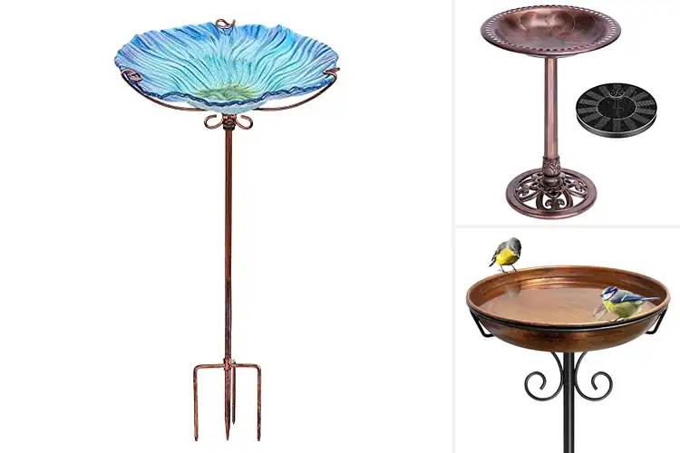 Detailed view of Best Easy-Assembly Bird Baths
