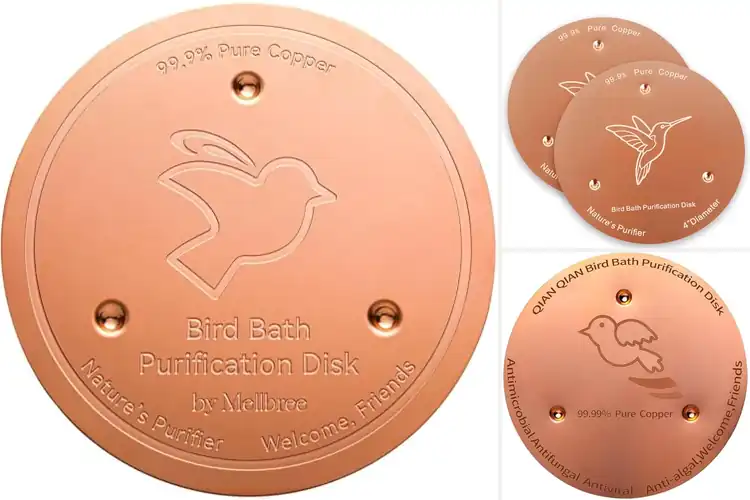 Detailed view of Best Easy Clean Bird Bath Components