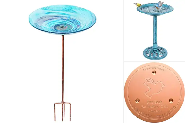 Detailed view of Best Easy Clean Bird Bath