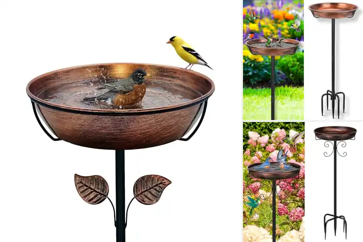Detailed view of Best Easy Clean Bird Baths For Garden