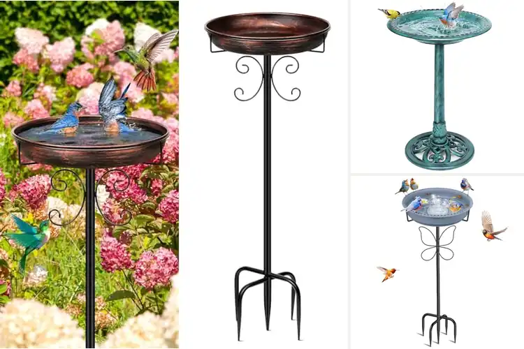 Detailed view of Best Easy Clean Bird Baths