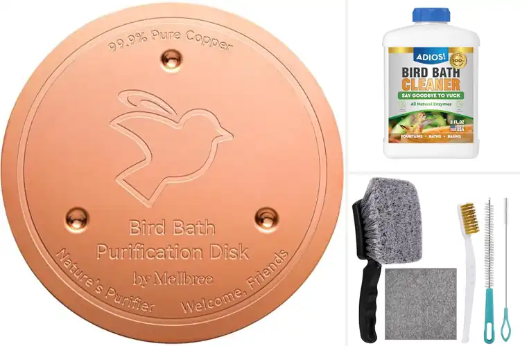 Detailed view of Best Easy Cleaning Bird Bath