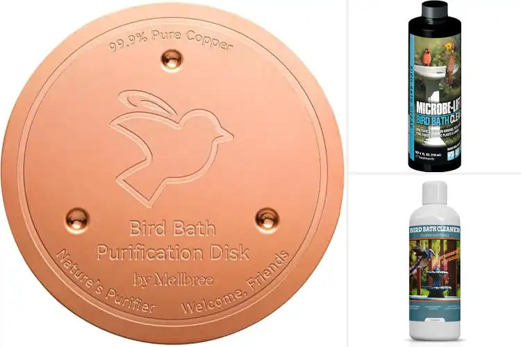 Detailed view of Best Easy To Clean Bird Bath Components