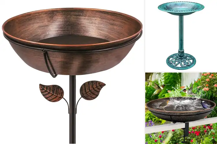 Detailed view of Best Easy-To-Clean Bird Baths