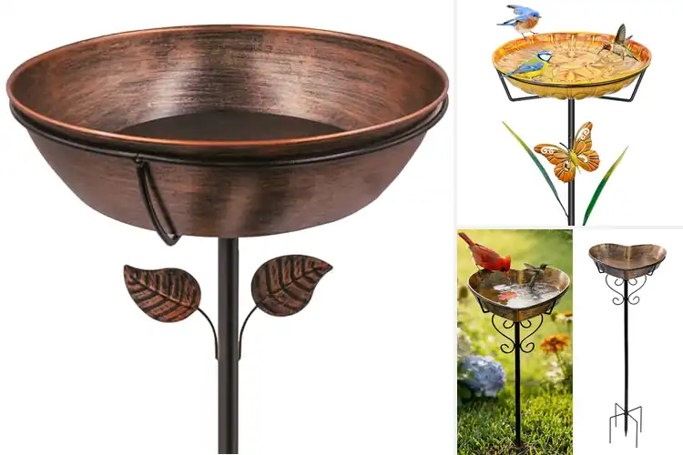 Detailed view of Best Easy-To-Clean Birdbaths