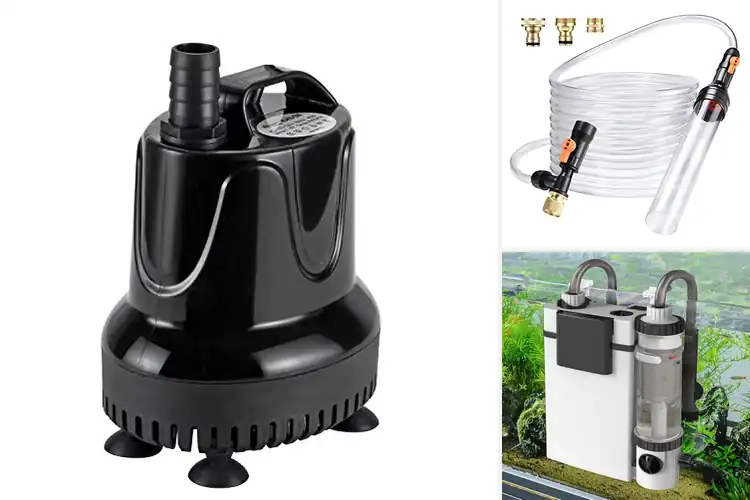 Detailed view of Best Easy Water Change: Quick, Simple Aquarium Care Tips