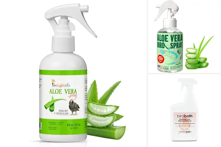 Detailed view of Best Feather Care Bird Showers
