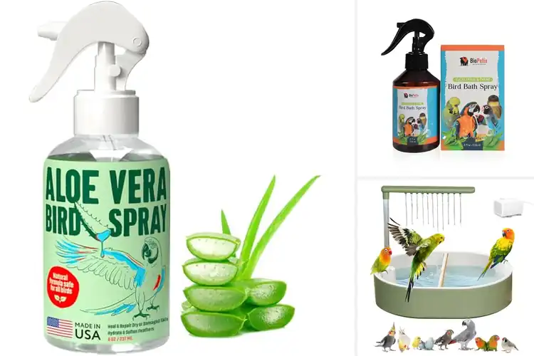 Detailed view of Best Feather Health Support Bird Bath