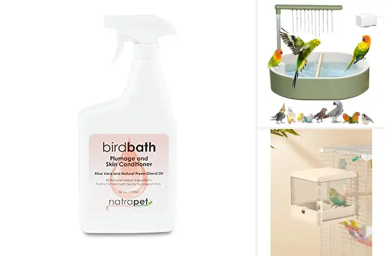 Detailed view of Best Feather Health Supporting Bath For Birds