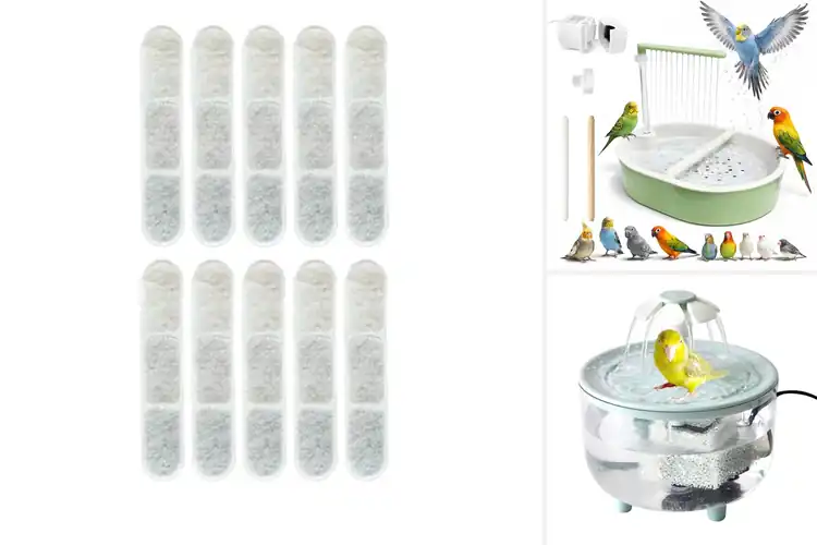 Detailed view of Best Filtered Bird Baths For Feather Health
