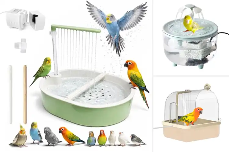 Detailed view of Best Filtered Bird Baths For Indoor Birds