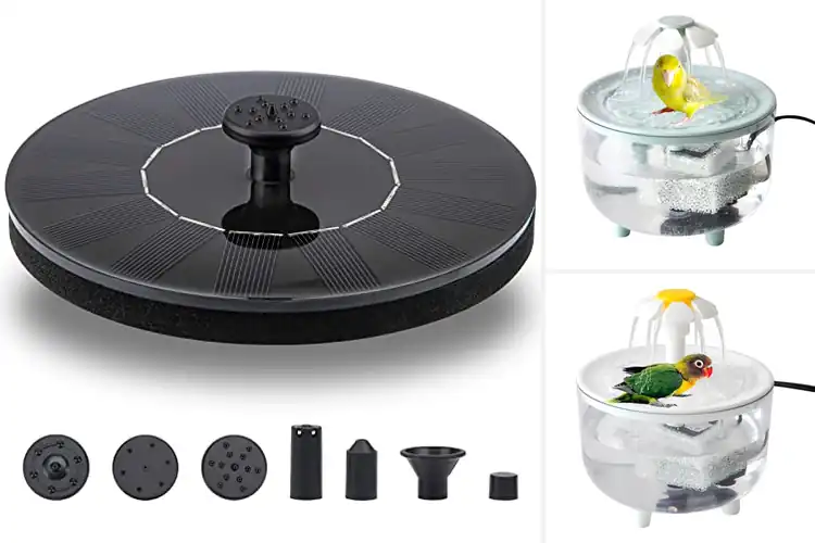 Detailed view of Best Filtered Bird Baths