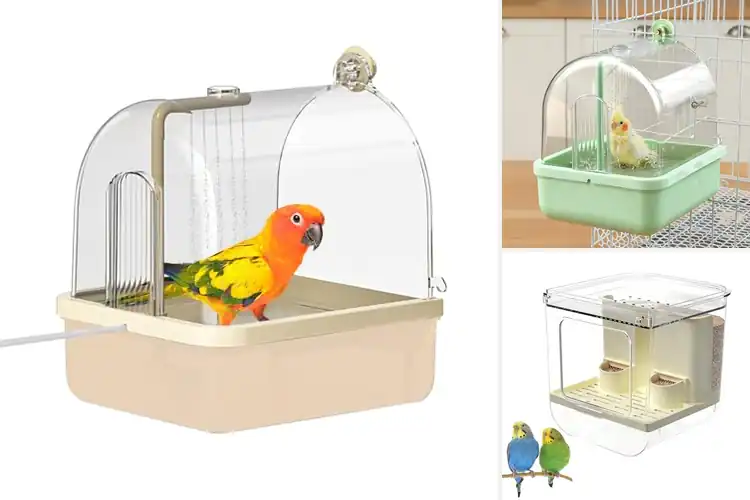 Detailed view of Best Finch Baths For Indoor Cages: Top Picks Birds Love