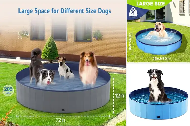 Detailed view of Best Foldable Pet Swimming Pools