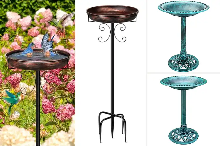 Detailed view of Best Garden Bird Baths: Top Picks for a Bird-Friendly Haven