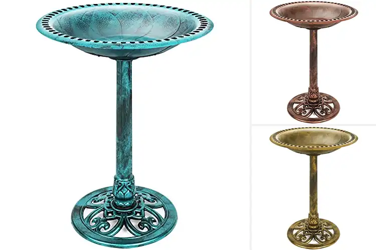 Detailed view of Best Garden Pedestal Bird Baths