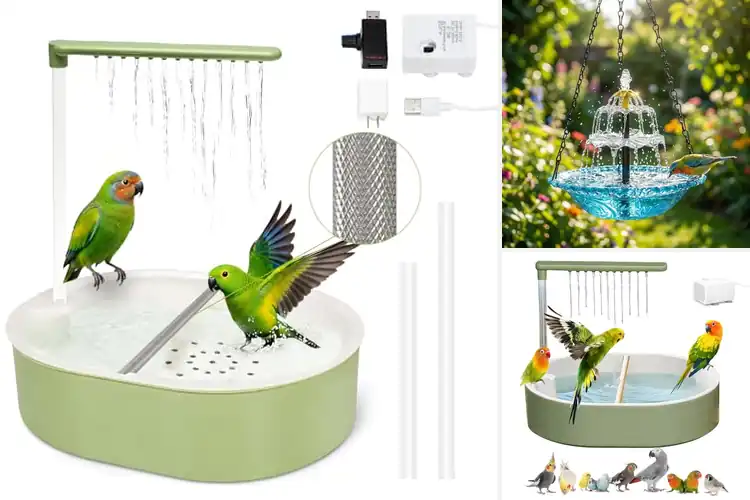 Detailed view of Best Gentle Flow Bird Bath