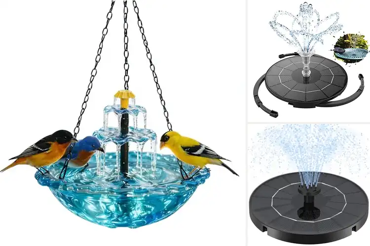 Detailed view of Best Gentle Water Flow Bird Bath