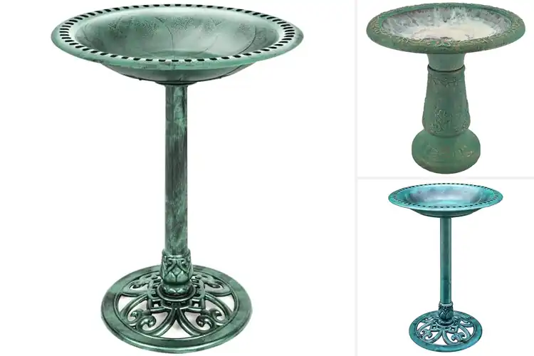 Detailed view of Best Green Bird Baths