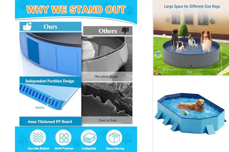 Detailed view of Best Hard Side Dog Pools