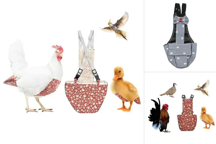 Detailed view of Best Hen Diapers