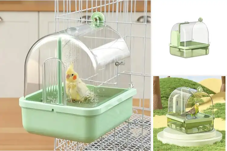 Detailed view of Best Indoor Bird Baths With Motion Sensor