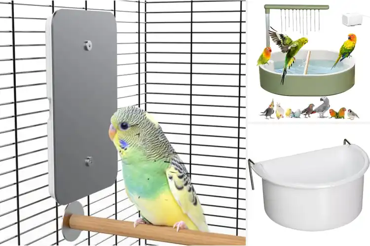 Detailed view of Best Indoor Bird Supplies: 10 Must-Haves for a Happy Home