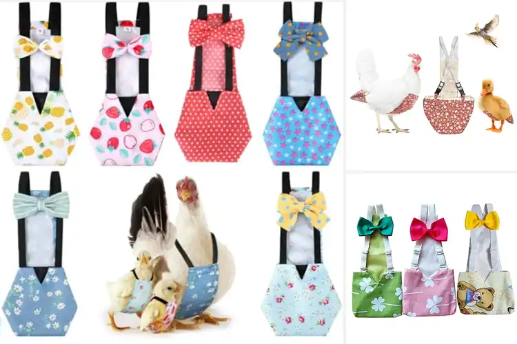 Detailed view of Best Indoor Duck Diapers