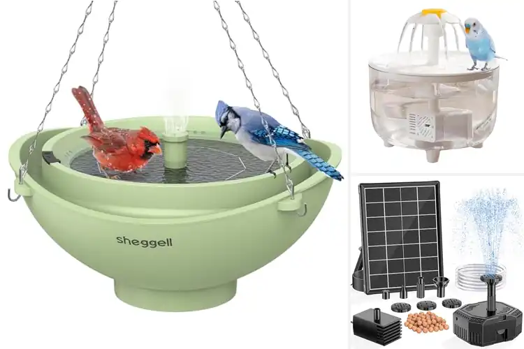 Detailed view of Best Integrated Filtration Bird Bath