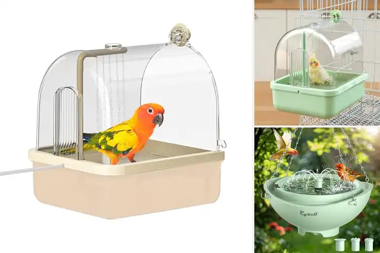 Detailed view of Best Integrated Filtration Bird Bath System