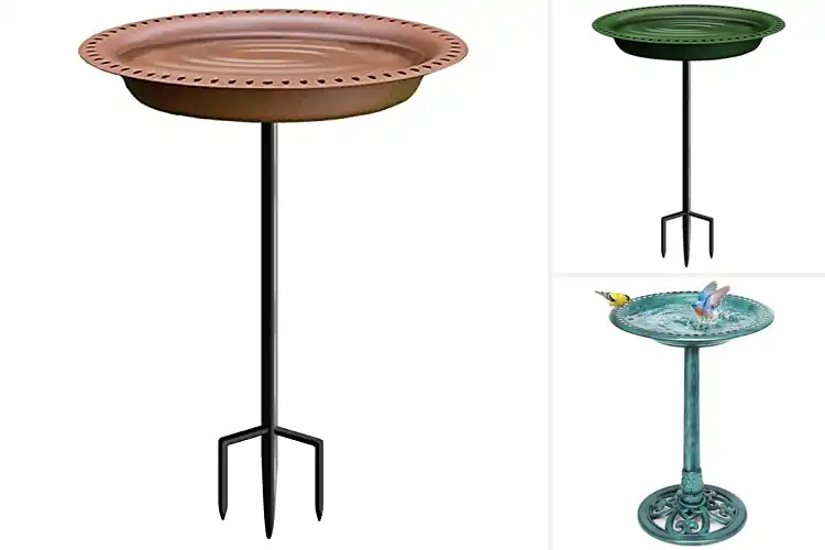 Detailed view of Best Large Bowl Bird Bath