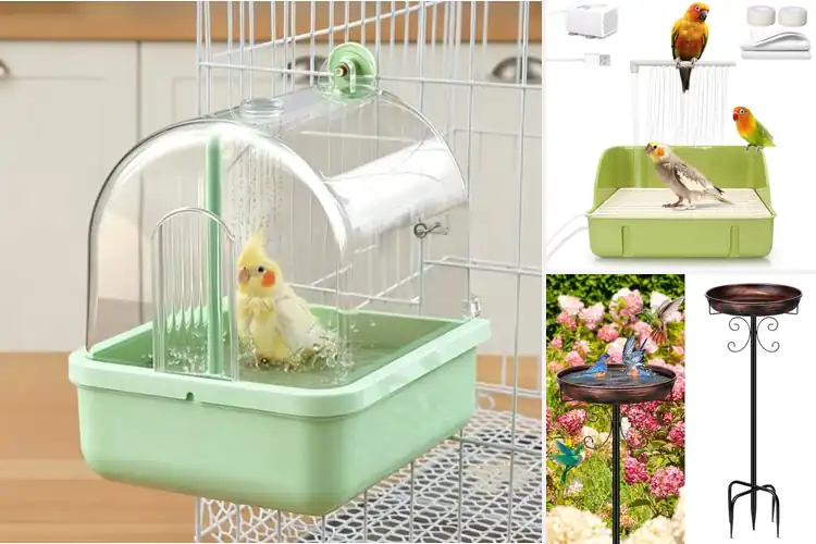 Detailed view of Best Maxdot Bird Bath: Refreshing Showers for Happy Birds