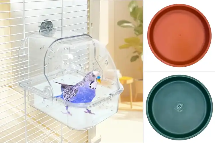 Detailed view of Best Non Toxic Plastic Bird Bath