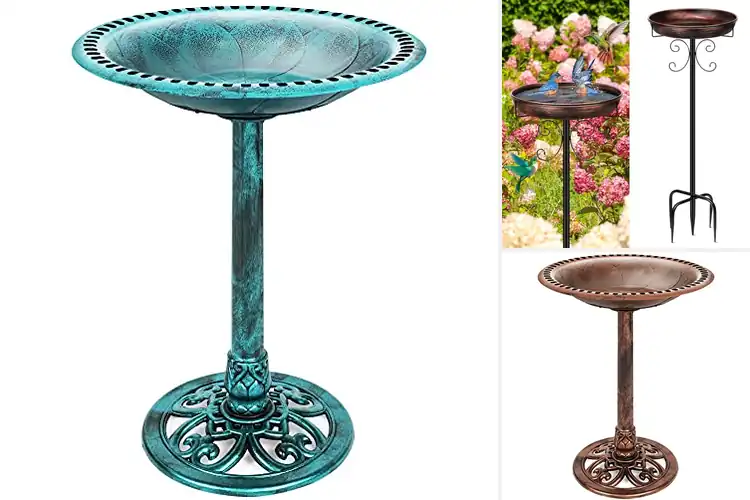 Detailed view of Best Outdoor Bird Baths For Gardens