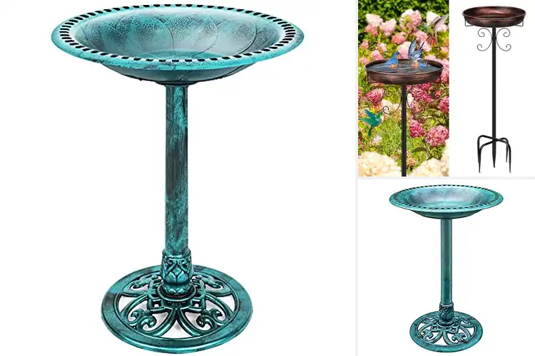 Detailed view of Best Outdoor Bird Baths