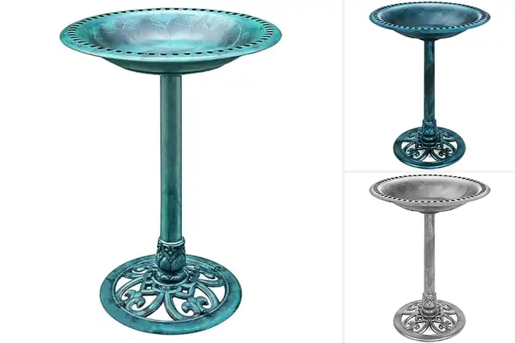 Detailed view of Best Outdoor Pedestal Bird Baths