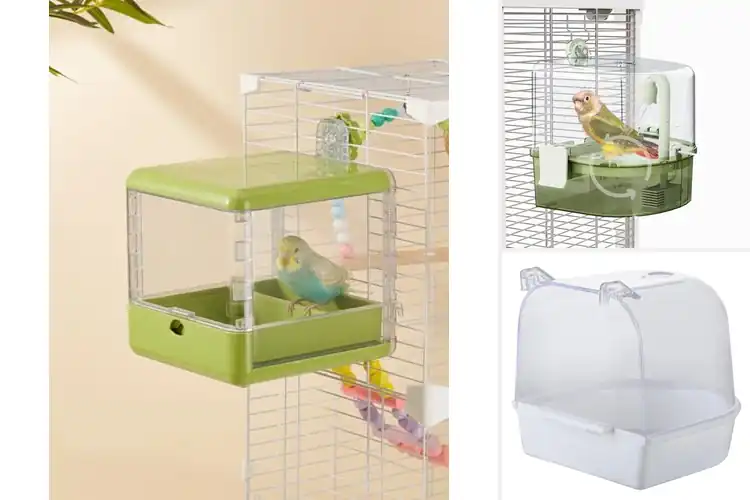 Detailed view of Best Parakeet Bathing Accessory