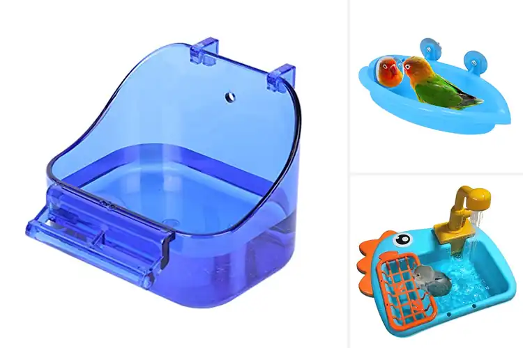 Detailed view of Best Parrot Bathing Accessories