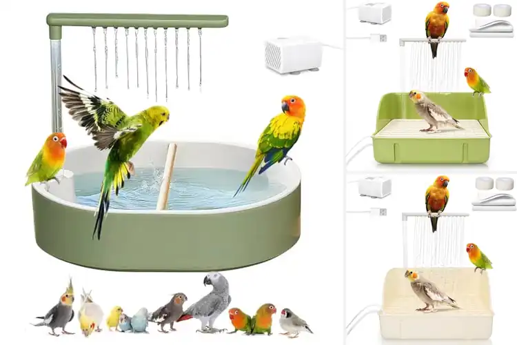 Detailed view of Best Parrot Bathtubs: Fun & Healthy Bath Time Solutions