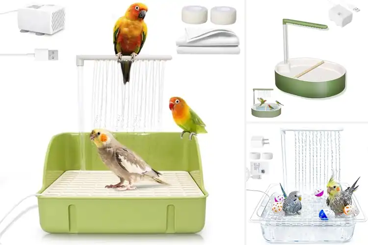 Detailed view of Best Parrot Bathtubs With Pump: 10 Top Picks