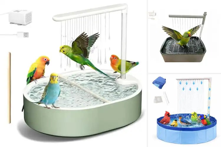 Detailed view of Best Parrot Bathtubs With Silent Pump