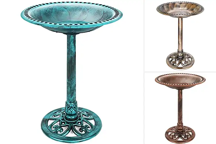Detailed view of Best Pedestal Bird Baths