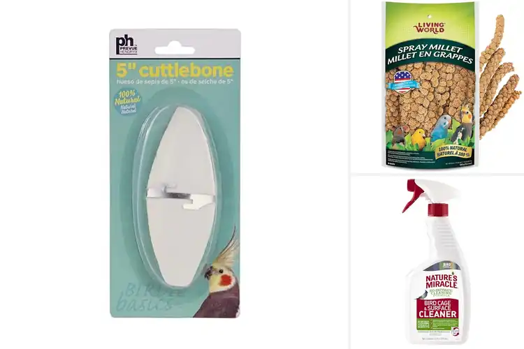 Detailed view of Best Pet Bird Accessories